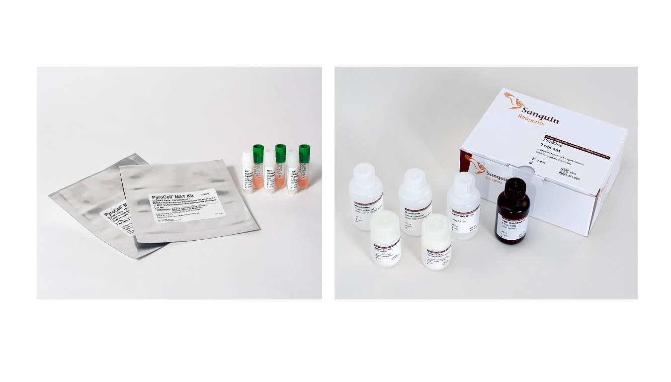 Lonza launches New Non-Endotoxin Pyrogen Detection System PyroCell® MAT Human Serum System Kit 