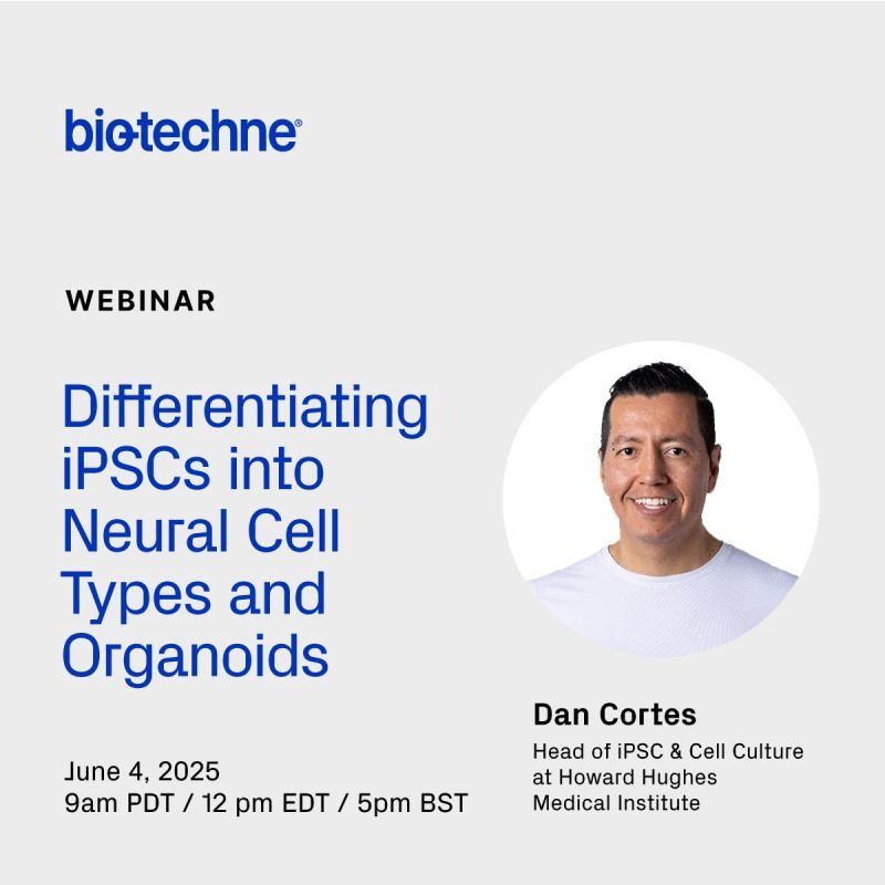 Webinar: Differentiating iPSCs into Neural Cell Types and Organoids