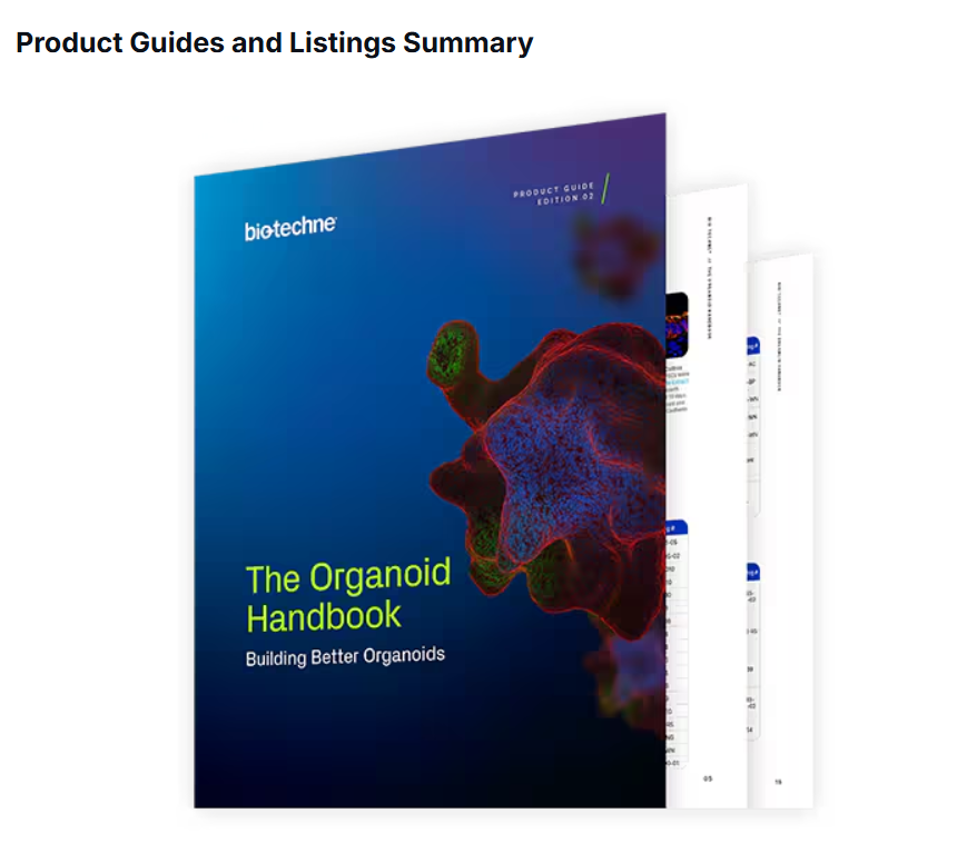 Elevate Your Organoid Research