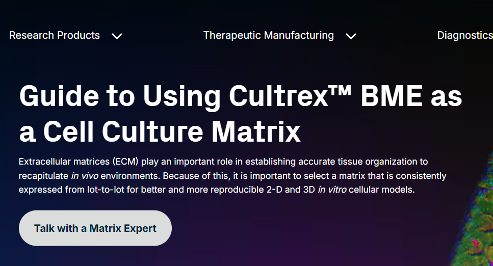 Guide to Using Cultrex™ BME as a Cell Culture Matrix