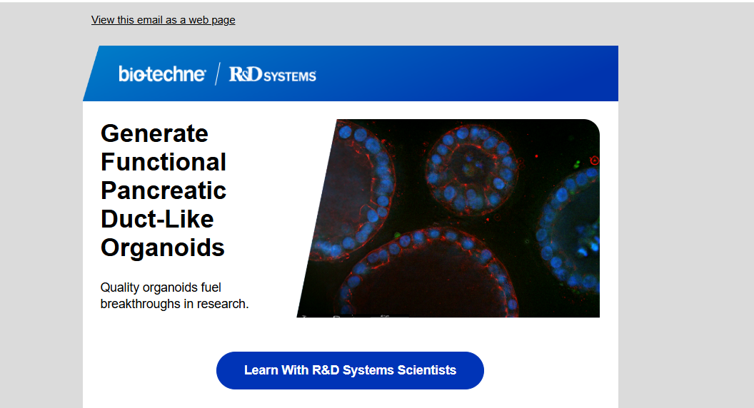 Generate Functional Pancreatic Duct-Like Organoids