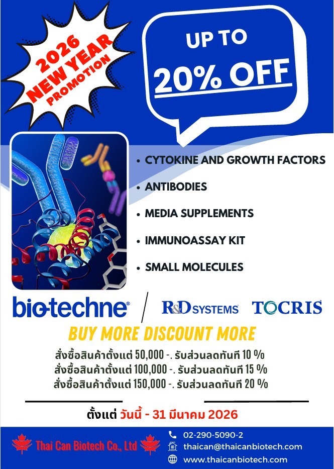 โปรโมชั่น New Year 2026