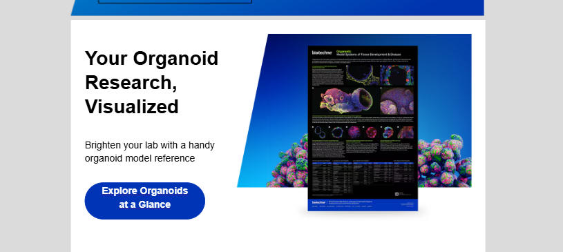 Your Organoid Research, Visualized
