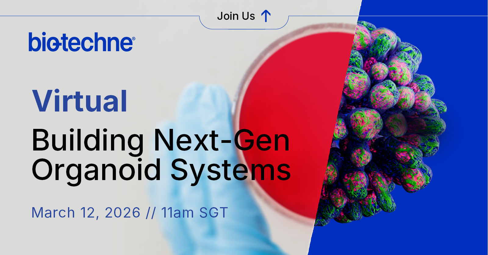 APAC webinar on 3D culture and organoids