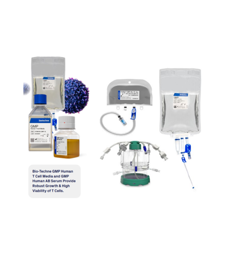 Closed System T Cell Therapy Manufacturing Solutions