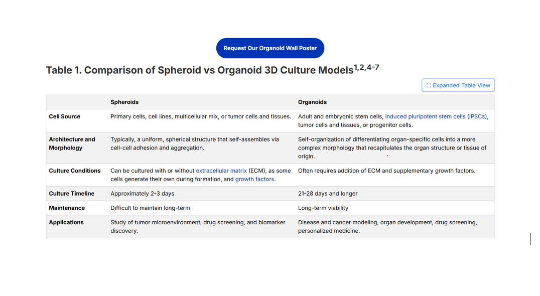 Spheroids vs. Organoids: Which 3D Cell Culture Model is Best for You?